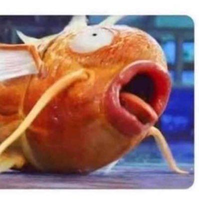 Profile Picture of Im In Pain (@KyleHoyt12) on Twitter