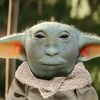 Profile Picture of Matthew Priest (@@matpriest21) on Tiktok