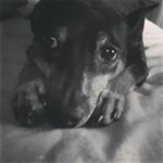 Profile Picture of Warren Harris Chase (@warrenharrischase) on Instagram