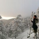 Profile Picture of Alex (@ay_kuzmich) on Twitter