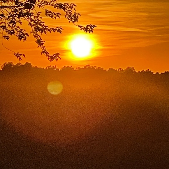 Profile Picture of Matt Schuchart (@mattschuchart) on Poshmark