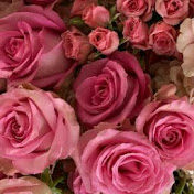 Profile Picture of Yomairy Agueda Castillo#1 (@yomairyaguedacastillo1737) on Youtube