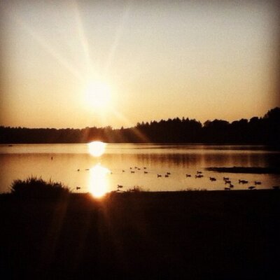 Profile Picture of David Avey (@dreamlovesugar) on Twitter