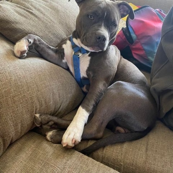 Profile Picture of Nichole Wickel (@nicholewickel) on Poshmark