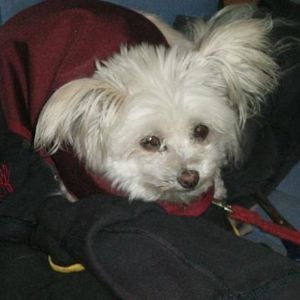 Profile Picture of Richard Finnigan (@412649355) on Myspace