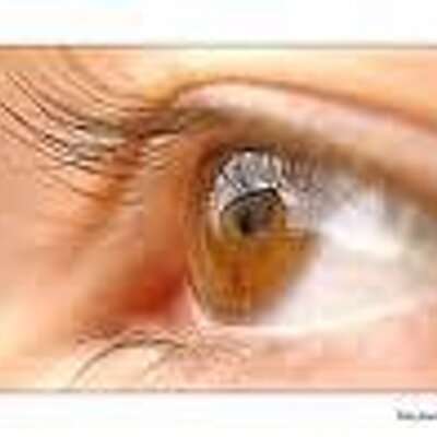 Profile Picture of Lora Flores (@LoraFlowers) on Twitter