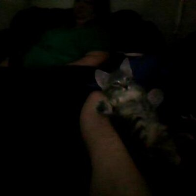 Johnny Workman - Twitter Profile Picture of Johnny Workman (@JohnnyWorkman) on Twitter