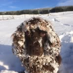 Profile Picture of Richard PeirseDuncombe (@Richard-Peirse-Duncombe) on Facebook