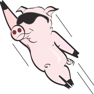 Robert Barzelay  🇮🇱  🇳🇱 - Twitter Profile Picture of Robert Barzelay  🇮🇱  🇳🇱 (@18PigsDontFly) on Twitter