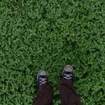 Profile Picture of 𝙰𝚕𝚒 🌿🏂 (@alison_campbell) on Instagram