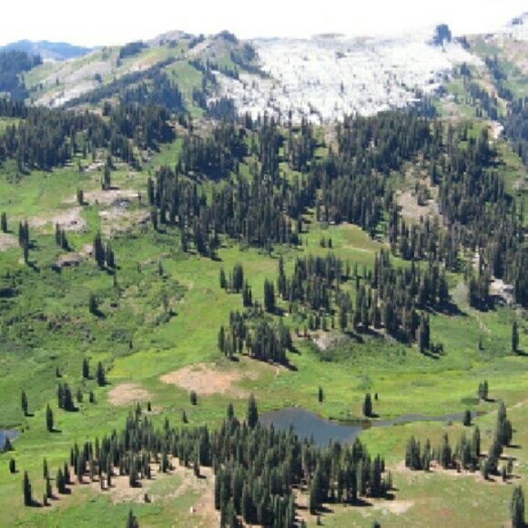 Profile Picture of Aileen Bammer (@bambam4820) on Poshmark