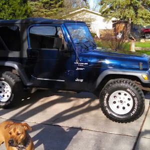 Profile Picture of markschelling (@markschelling) on Tiktok