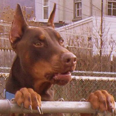 Profile Picture of Mark Tisdale (@raw2126) on Twitter