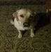 Profile Picture of Robin Zimmerman (@robin.zimmerman.7186) on Facebook