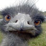 Profile Picture of Richard Dening-Smitherman (@richarddeningsmitherman) on Instagram