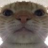 Profile Picture of DanielZook050 (@@danielzook050) on Tiktok