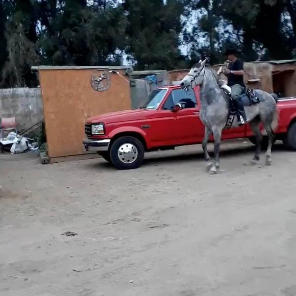 Profile Picture of Roberto Lazcano (@picoro_420) on Poshmark