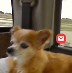 Profile Picture of Joann Luallen (@Joann-Luallen) on Facebook