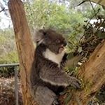 Profile Picture of Nancy Horvath (@nancynhorvath) on Instagram