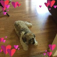 Profile Picture of Brenda Danilowicz (@brenda-danilowicz) on Quora