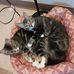 Profile Picture of Charmaine Jones (@charmaine.jones.71465) on Facebook