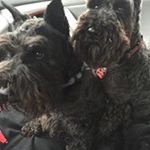 Profile Picture of Jordan Feltner (@jordanfeltner23) on Instagram