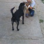 Profile Picture of Ion Ionut (@daniel.raceanu.77) on Instagram