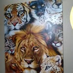 Profile Picture of Michael Mckowen (@Michael-Mckowen) on Facebook