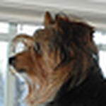 Profile Picture of Kevin Digiorgio (@idahokev) on Flickr