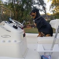 Glenn Burke - Quora Profile Picture of Glenn Burke (@glenn-burke-5) on Quora