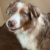 Profile Picture of Ben Wilcox (@SuperBlooper53) on Youtube