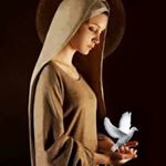 Yesenia_laMALVADA - Instagram Profile Picture of Yesenia_laMALVADA (@yesenia_malvada) on Instagram