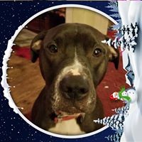 Profile Picture of Shannon Caley (@shannon-caley) on Quora