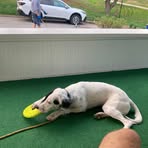 Profile Picture of William Hagedorn (@William-Hagedorn) on Facebook