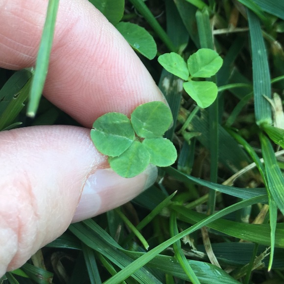 Colleen Skeuse - Poshmark Profile Picture of Colleen Skeuse (@cs7781) on Poshmark