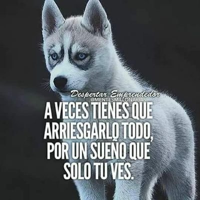 Profile Picture of JULIO ASTUDILLO (@JULIOAS75834807) on Twitter