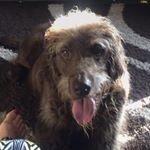 Profile Picture of Ruth Singleton Evans (@ruthie_toothie_) on Instagram