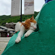 Profile Picture of Andrew Sim (@andrewsim7132) on Youtube