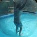 Profile Picture of Roxanne Conway VanPelt (@roxvp) on Pinterest