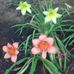 Profile Picture of Mildred Oglesby (@mildred.oglesby1) on Facebook