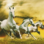 Profile Picture of Mohan.rao Mohan.babu (@mohan.raomohan.babu) on Flickr