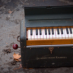 Profile Picture of Conor McCarthy (@conor.mccarthy.) on Flickr