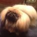 Profile Picture of Jeff Lockard (@jeff.lockard.3) on Facebook