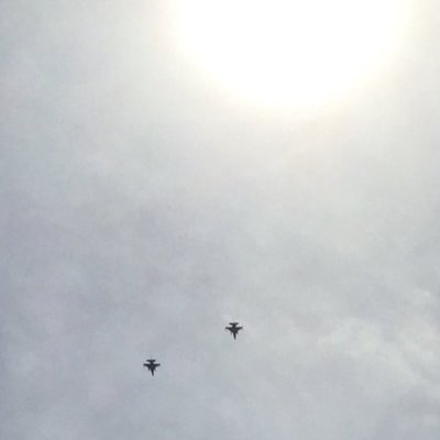 Profile Picture of Jo Rose (@jorose918) on Twitter