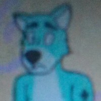 Profile Picture of Alejandro González Aka Minty The Lamb Wolf (@alejandro-gonzález-aka-minty-the-lamb-wolf) on Quora