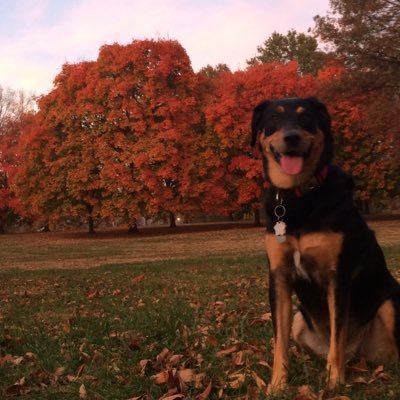 Randy Liebler - Twitter Profile Picture of Randy Liebler (@LieblerRandy) on Twitter