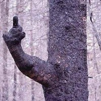 Profile Picture of Duncan Hunter (@duncan-hunter-7) on Quora