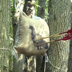 Profile Picture of Jameson Archery (@jamesonarcherylithgow) on Instagram