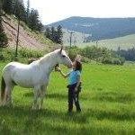 Paige Tabor - Pinterest Profile Picture of Paige Tabor (@paige7371) on Pinterest