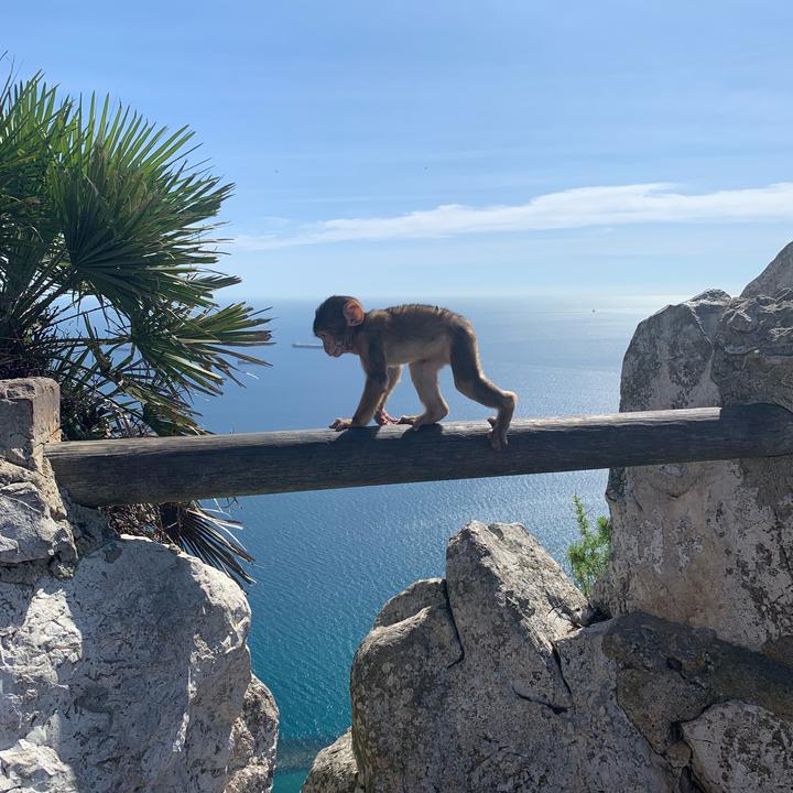 Profile Picture of Michelle Manship (@michellemanship) on Tiktok